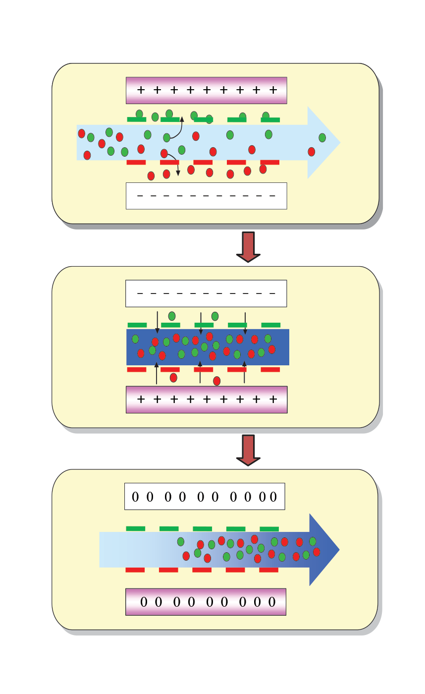 Water Treatment Process
